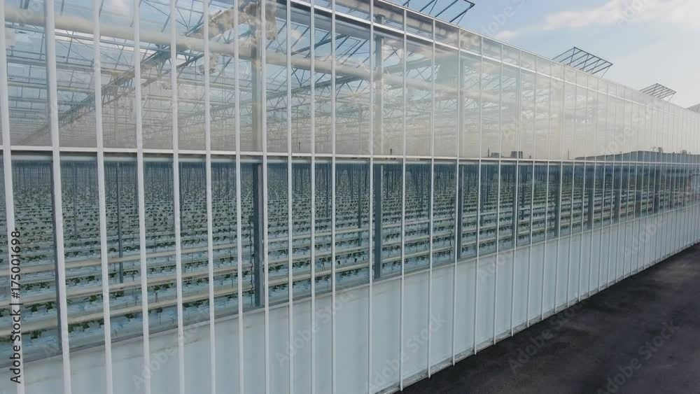 Aerial view of greenhouses with vegetables Aerial view of greenhouses with vegetables