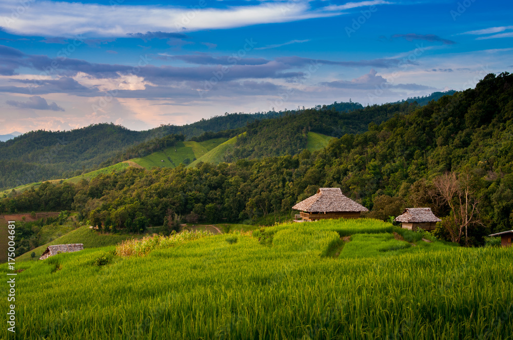 Small cottages among natural lush green Rice Terrace in Chiang-mai, Thailand