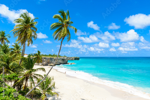 Bottom Bay, Barbados - Paradise beach on the Caribbean island of Barbados. Tropical coast with palms hanging over turquoise sea. Panoramic photo of beautiful landscape. photo