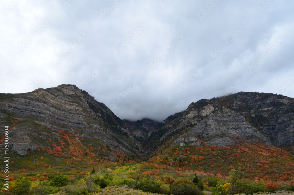 Fototapeta premium Fall 2017 Pt. 2