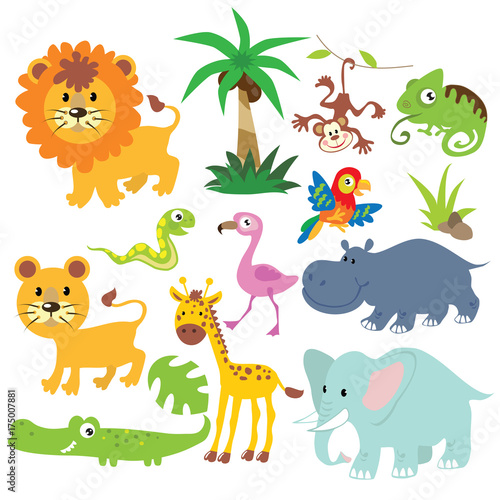 Jungle animals vector cartoon illustration