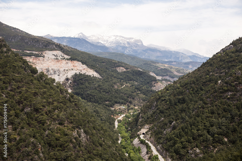 Obraz premium Rocky mountains covered with pine forests 