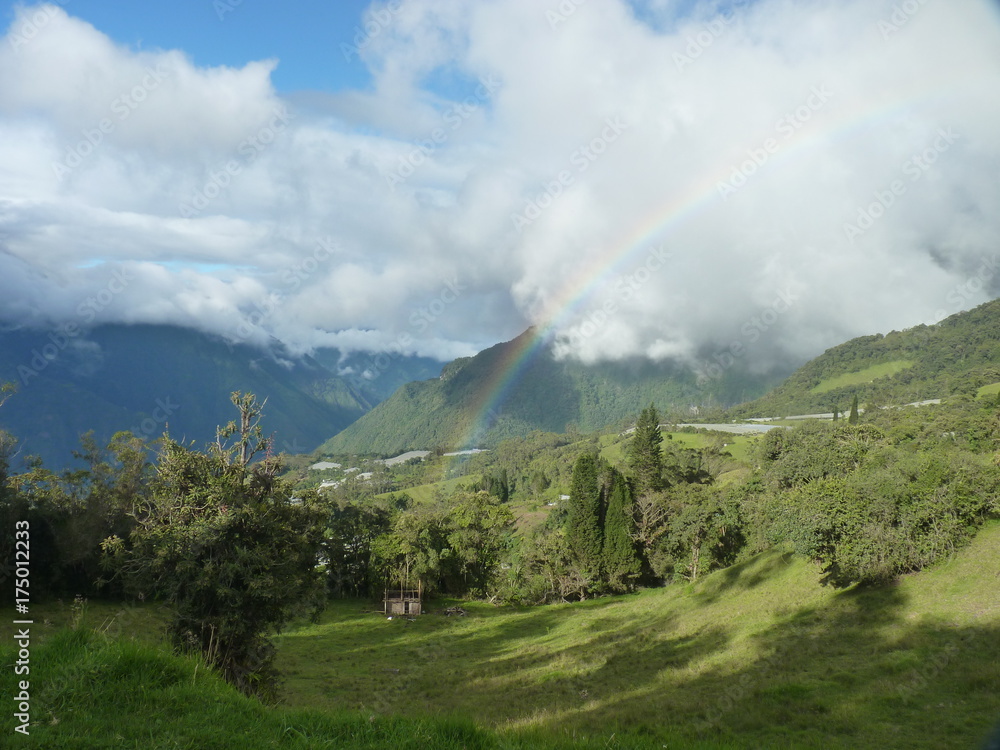 Ecuadorian rainbow Ecuadorian rainbow