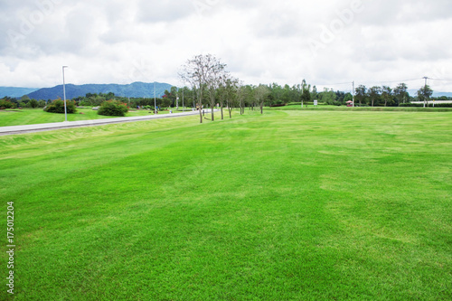 Lawn with nature on mountain. © RK1919