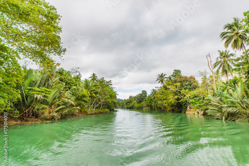 Fototapeta Naklejka Na Ścianę i Meble -  The Loboc River (also called Loay River) is a river in the Bohol province of the Philippines. It is one of the major tourist destinations of Bohol. 