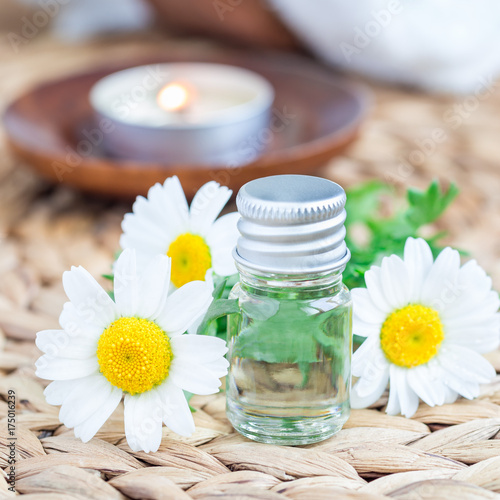 Chamomile essential oil in glass on woven mat with spa background, square format