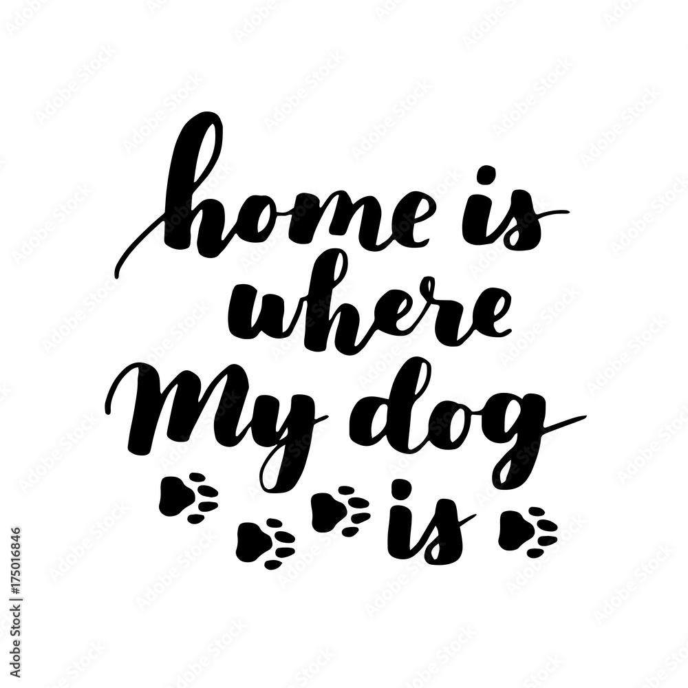 Dog adoption hand written lettering. Brush lettering quotes about the dog. Vector motivational saying black ink on white isolated background. Dog adoption hand written lettering. Brush lettering quotes about the dog. Vector motivational saying black ink on white isolated background.