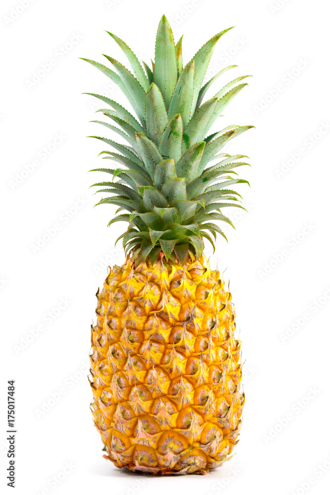 Fototapeta premium fresh pineapple on white background, 