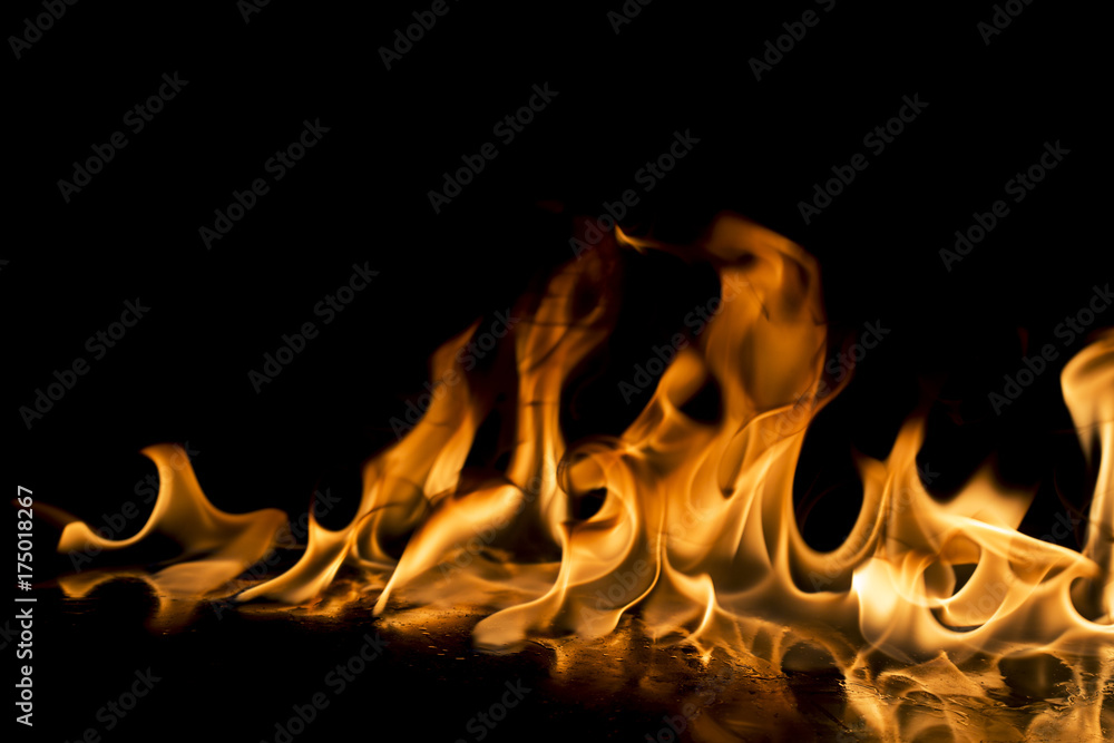 Fototapeta premium Fire flames