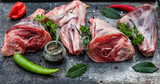 Fresh red meat, chops with spices,pepper, peperoni, herbs, rosemary, parsley on old metal tray, top view, copy space