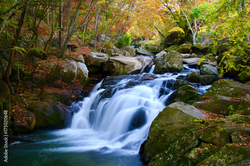 山鶏滝・やまどりたき（福島県・平田村）