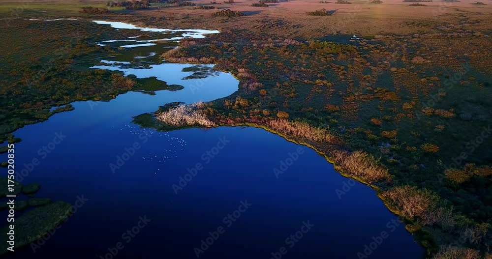 Lush Aerial image in the Pantanal Biome. Herons nest colony. Traveling backwards. Blue water river and flooded primary vegetation on a Green forest. Mato Grosso do Sul state, Central-Western Brazil. Lush Aerial image in the Pantanal Biome. Herons nest colony. Traveling backwards. Blue water river and flooded primary vegetation on a Green forest. Mato Grosso do Sul state, Central-Western Brazil.