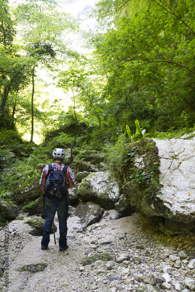 hiker in the wood in matese park gole del torano hiker in the wood in matese park gole del torano