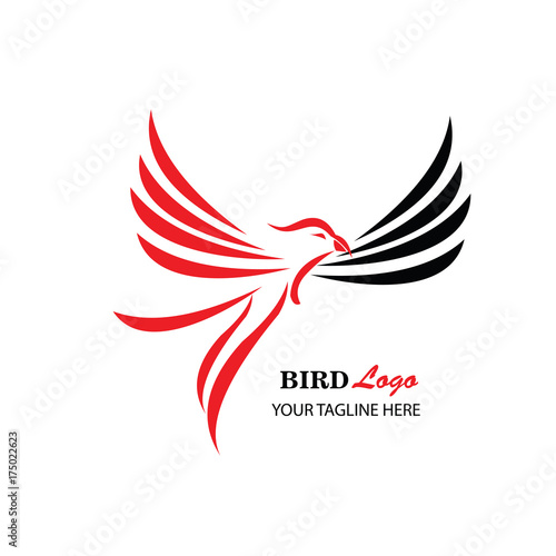 Bird Logo Vector Illustration