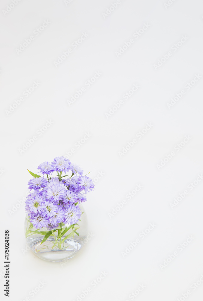 クジャクソウの花 クジャクソウの花