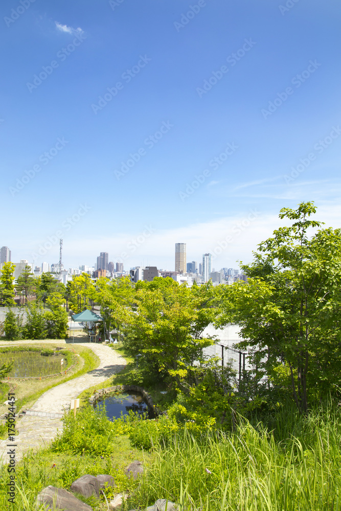 目黒天空庭園 おおはし里の杜 目黒天空庭園 おおはし里の杜