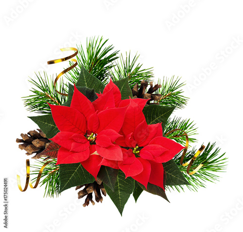 Christmas composition with ...