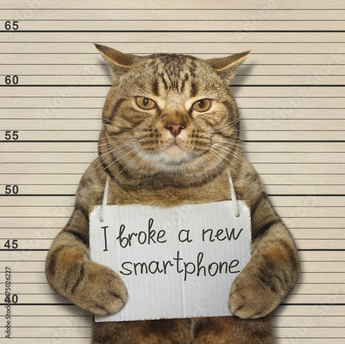 The bad cat broke a new smartphone. He went to prison for it.