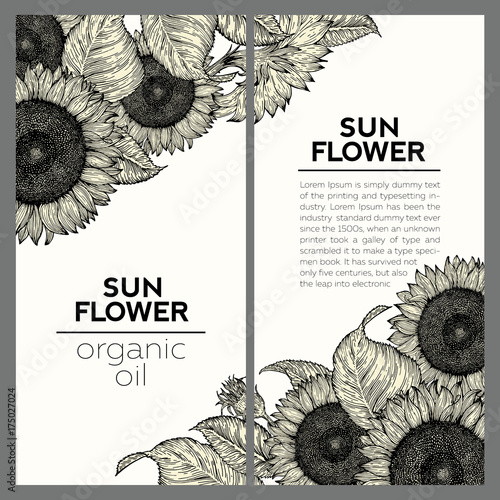 Set of two sunflower vintage design templates. Vector hand drawn illustration. Sunflower frame composition.