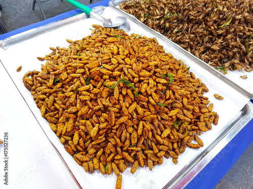 Fried insects crispy silk worm sold in street market, Thailand