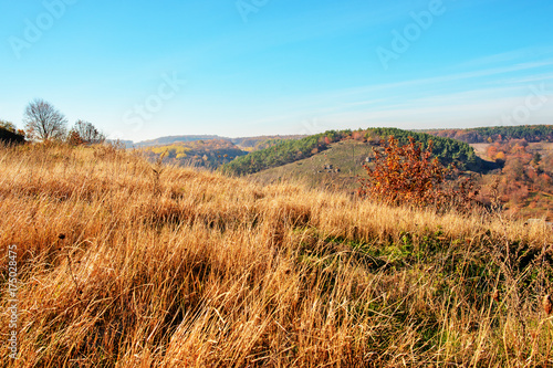 View on the beautiful colorful autumn landscape of the hills and greenfields with trees and grass upon the countryside