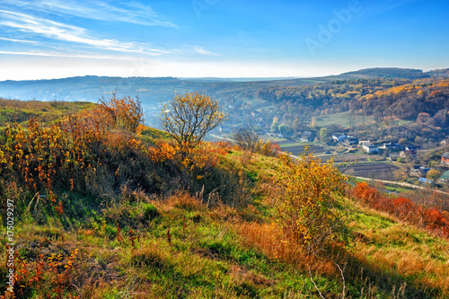 View on the beautiful colorful autumn landscape of the hills with trees and greenfields in the countryside © cezarksv