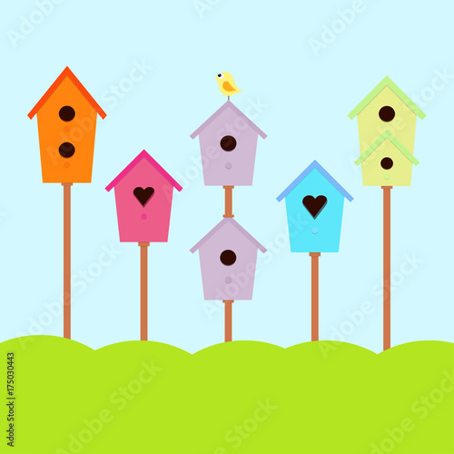 nesting box with bird