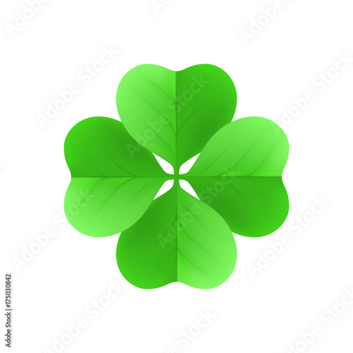 Irish shamrock lucky plant isolated white background. Irish shamrock a lucky plant isolated on a white background on the day of st. patrick. Clover in the form of a vector illustration photo