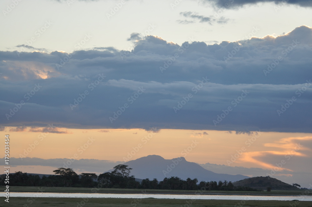 The African landscape. Kenya