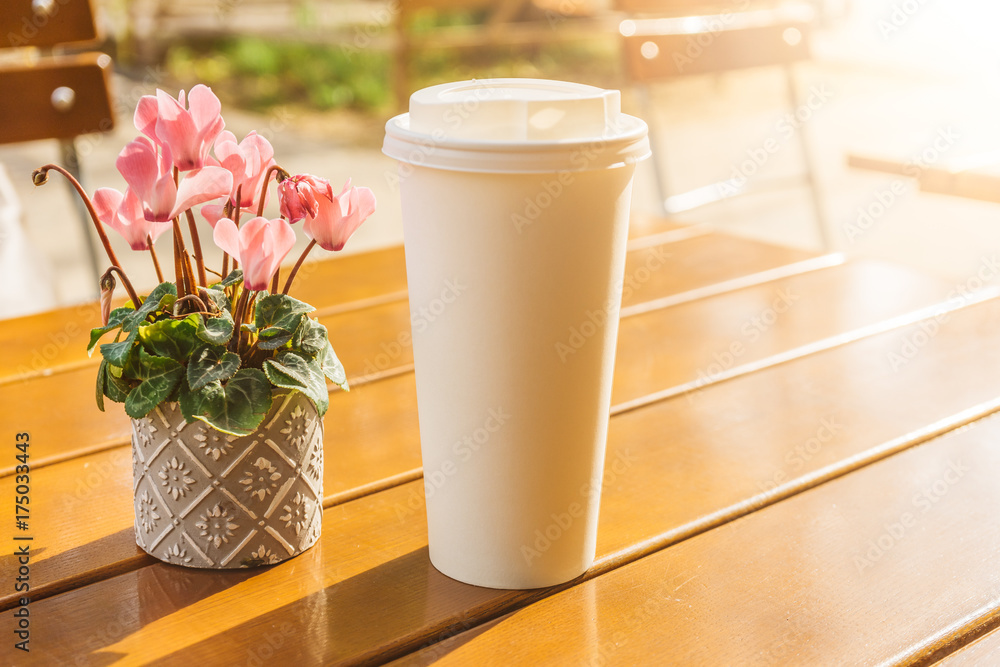 coffee to go with little plant in cafe coffee to go with little plant in cafe