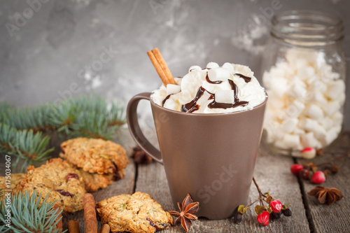 Hot Christmas cacao with marshmallow
