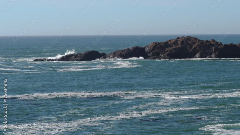 A Gray Whale (Eschrichtius robustus) spouting as seen from the shore of Depoe Bay, Oregon. A Gray Whale (Eschrichtius robustus) spouting as seen from the shore of Depoe Bay, Oregon.