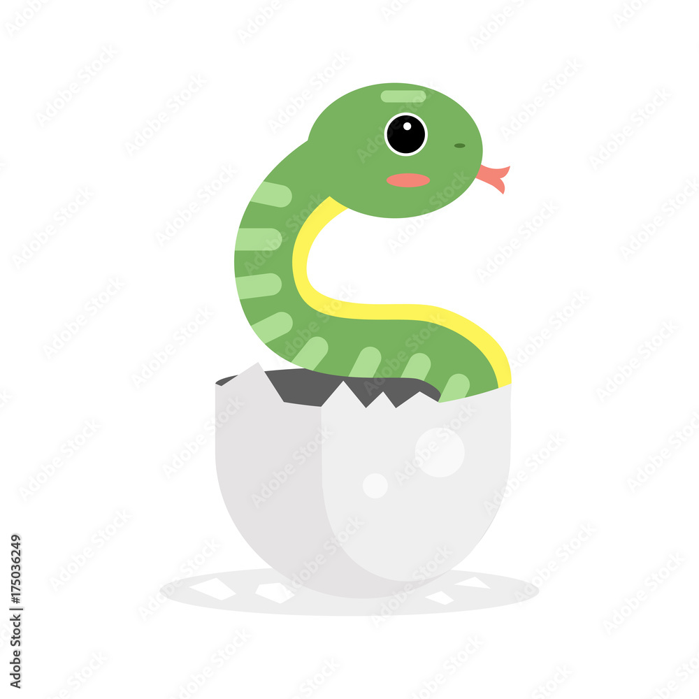 Naklejka premium Cute newborn green snake character, funny reptile in egg cartoon vector Illustration