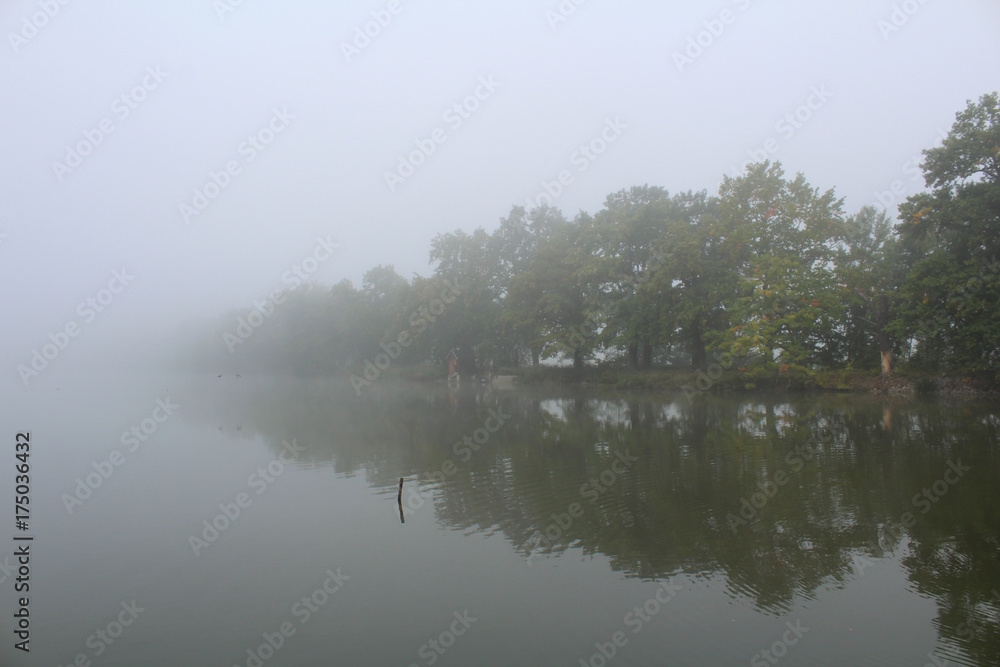 Trees on pond dam lost in misty fog, Czech landscape