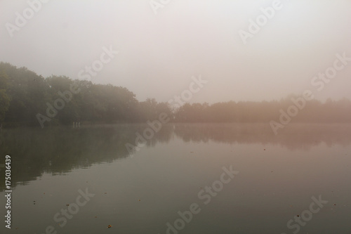 Trees on pond dam in misty fog with orange light, Czech landscape