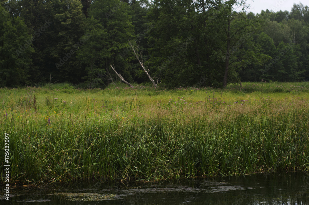 Obraz premium small river in Poland