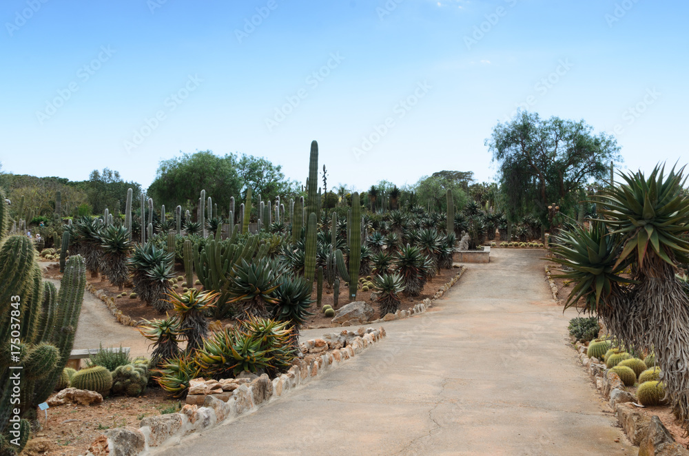 Botanicactus. Mallorca. Spain.
