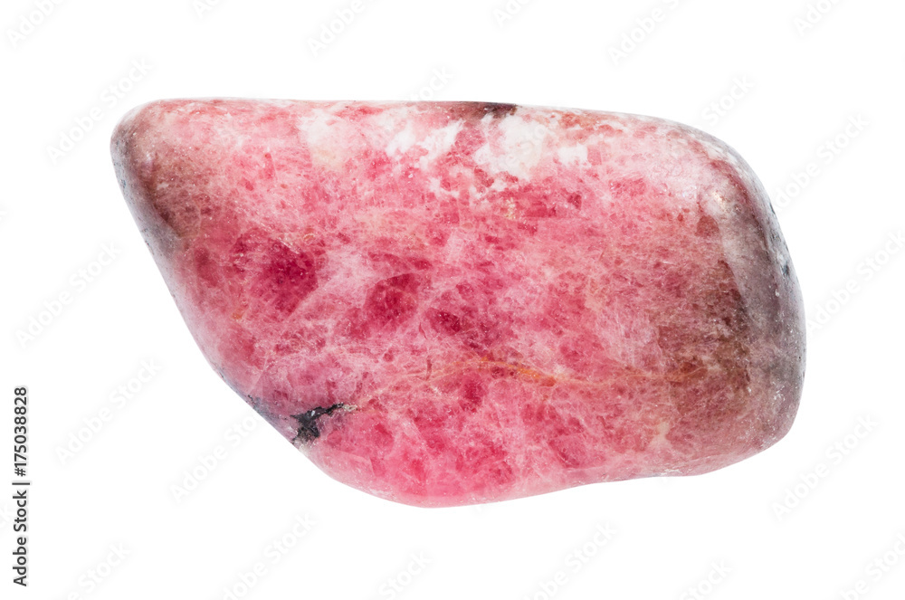 tumbled pink rhodonite gemstone isolated tumbled pink rhodonite gemstone isolated