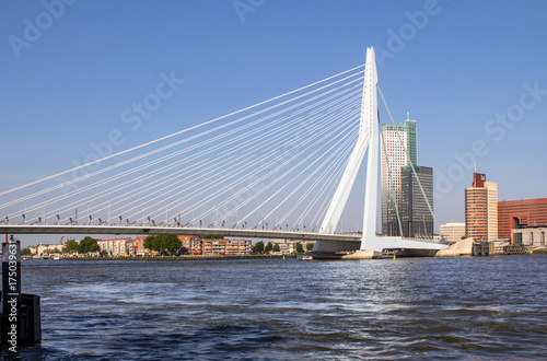 Erasmus Bridge in Rotterdam, Netherlands