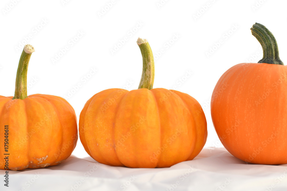 Three orange pumpkins Three orange pumpkins