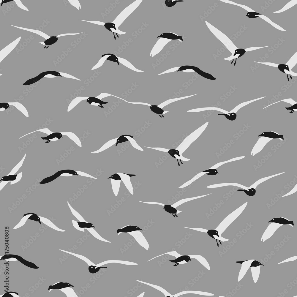 Seamless of gull on grey background. Seamless of gull on grey background.