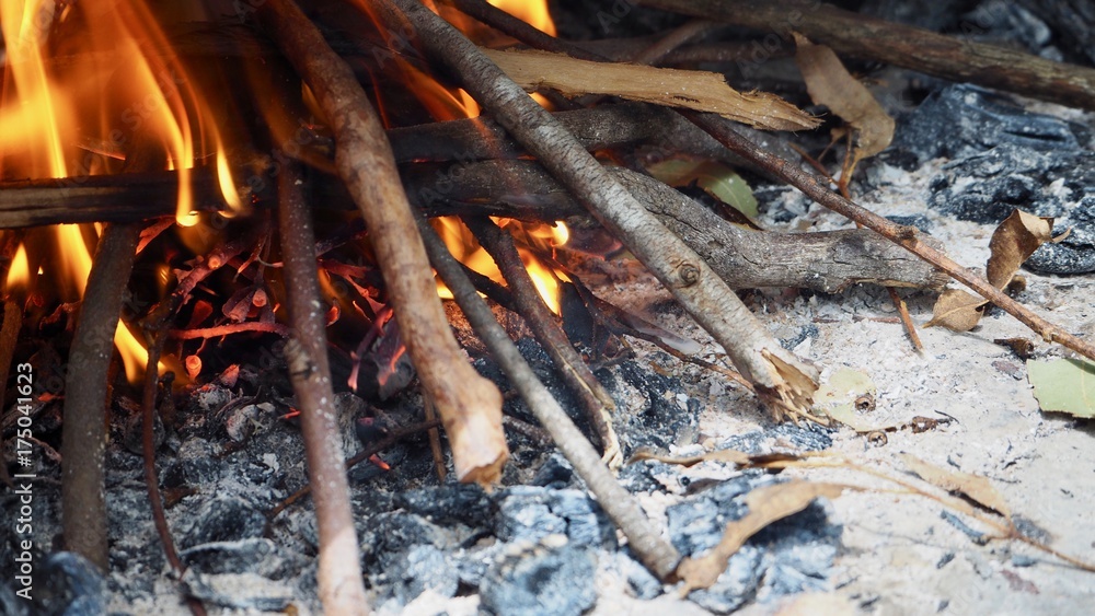 Fire Fire