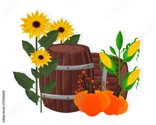 Autumn harvest sunflower, corn, pumpkin and barrel Vector