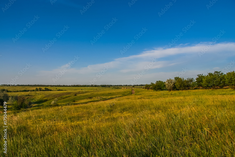 Ukrainian steppe near the town of Polohy
