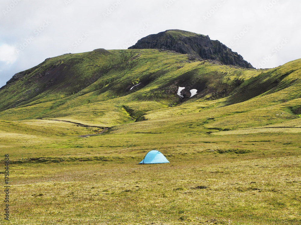 Lonely tourist tent in green mountains, Iceland