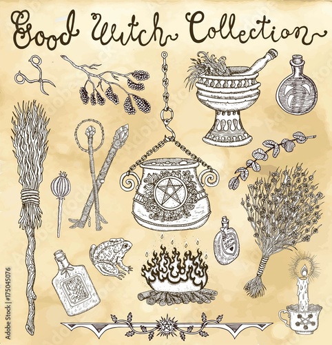 Collection with witch objects for Halloween design - pot, herbs, broomstick