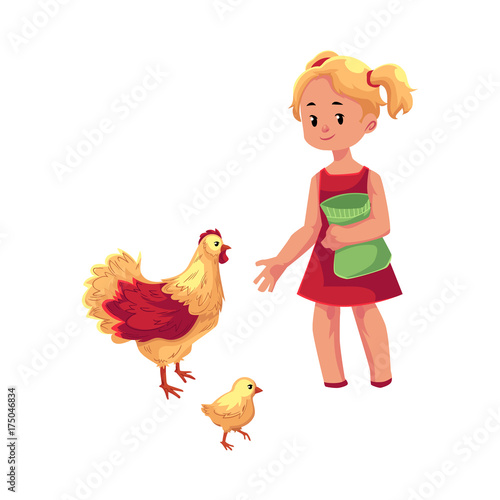 vector flat cartoon young teen girl feeding domestic birds - chickens and chick. Children at farm concept. Isolated illustration on a white background.