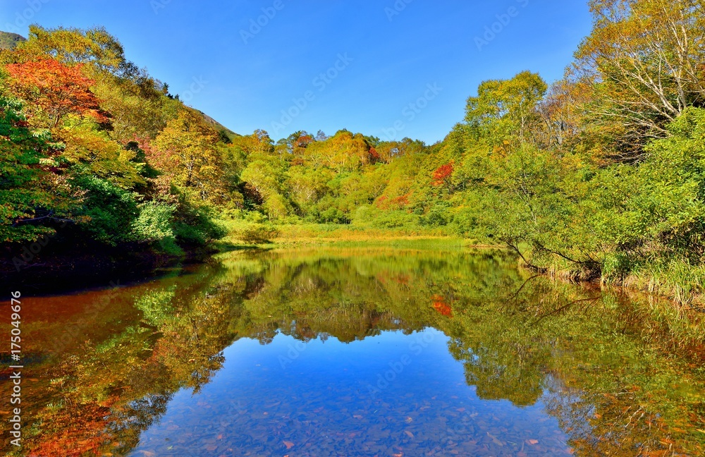 青空と初秋の紅葉 青空と初秋の紅葉