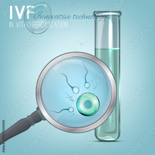 In Vitro Fertilization image