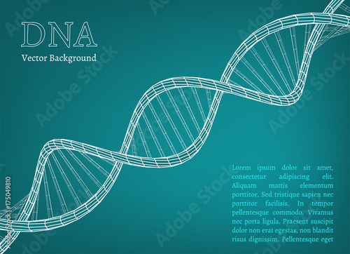 DNA Molecule Image